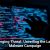 Fake Voicemails Lead to Major Phishing Campaign
